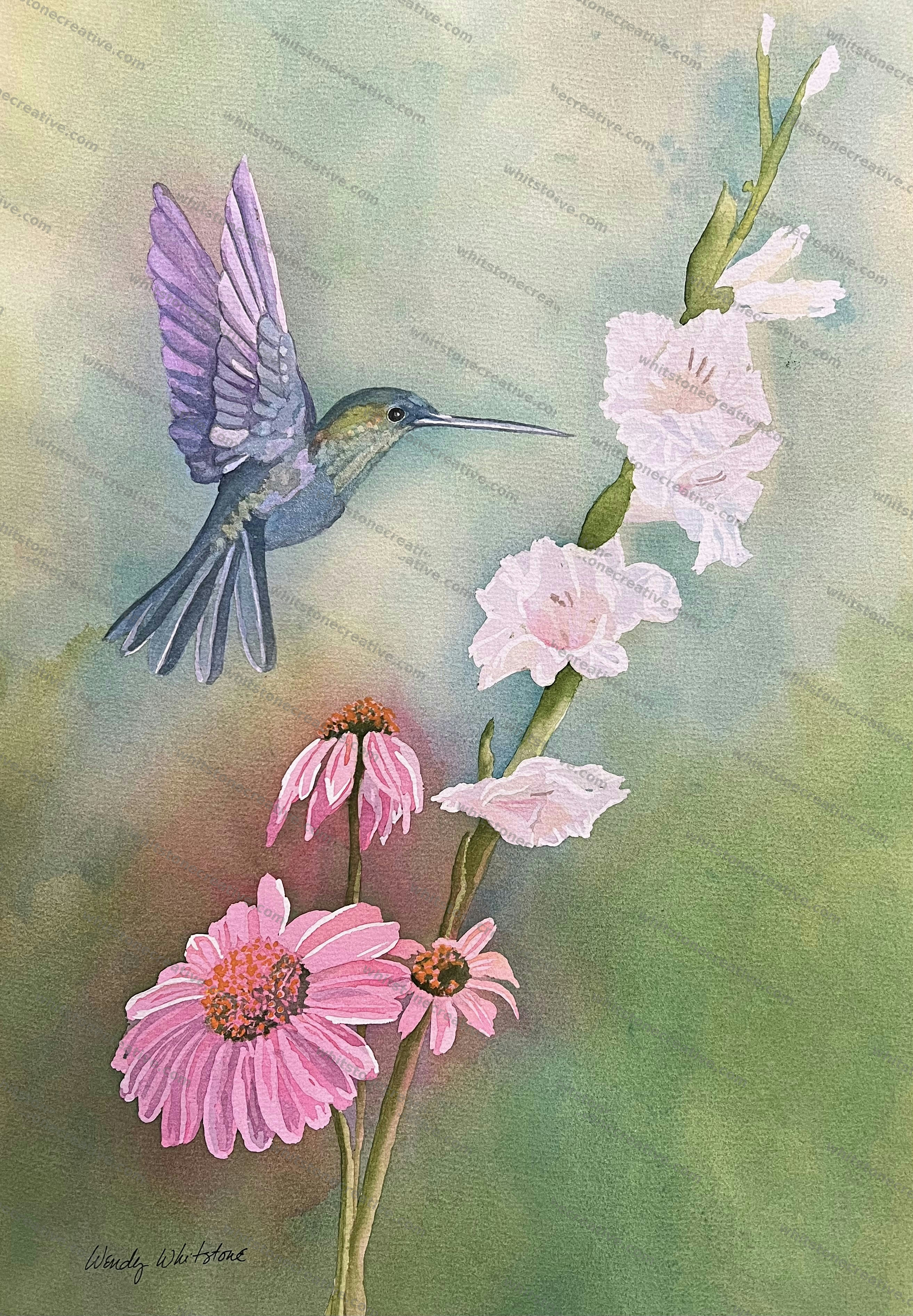 Hummingbird and Glads