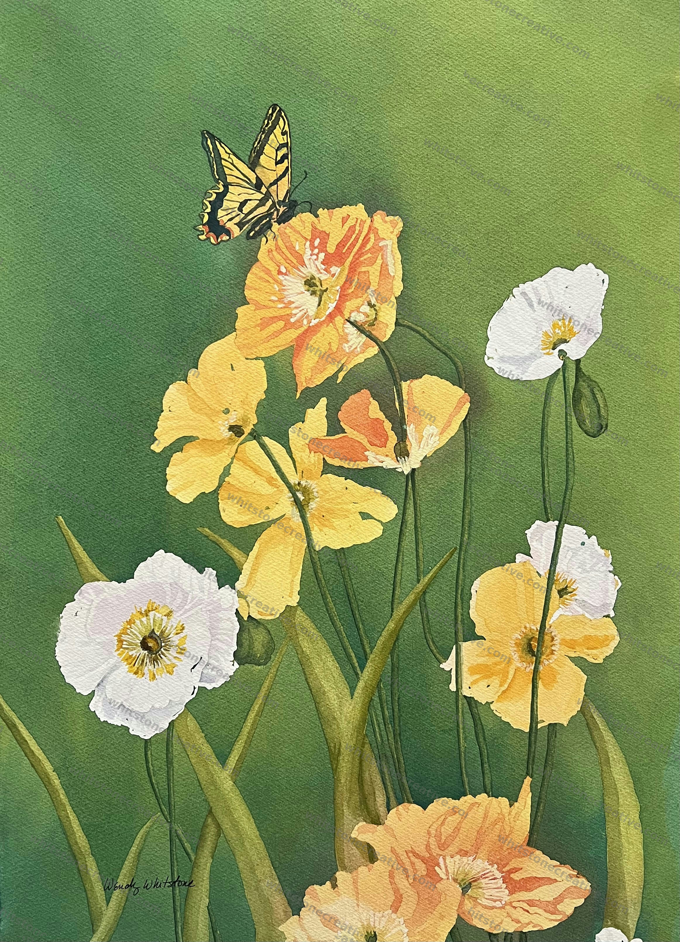 Swallowtail in Orange
